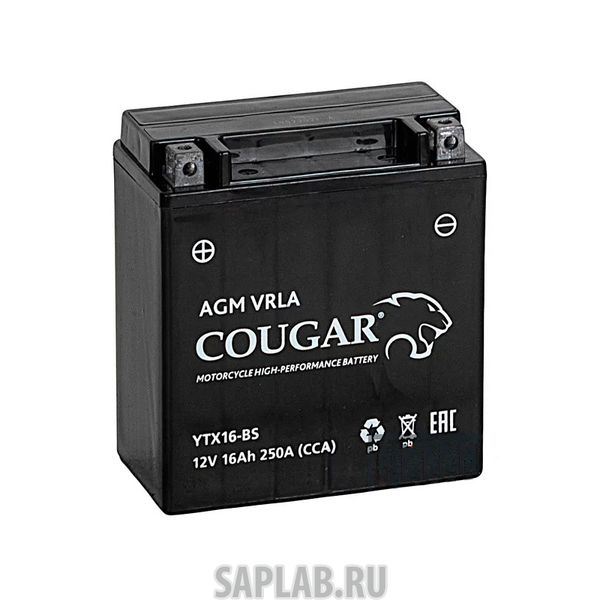 Купить запчасть COUGAR - YTX16BS 